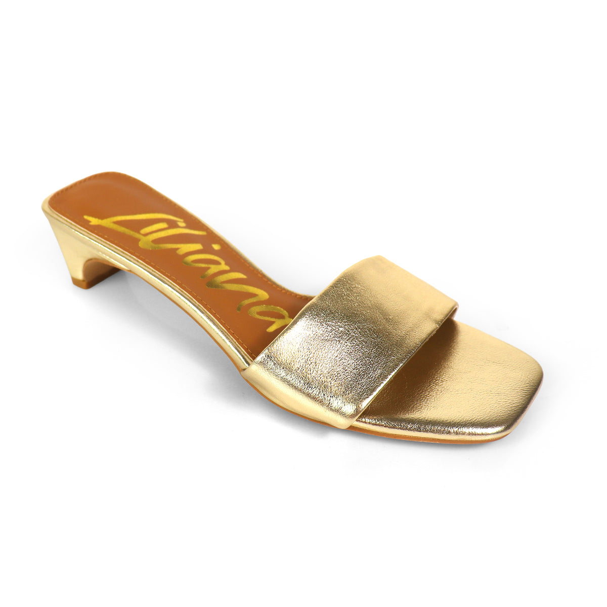 ELAINNY-1 TRANSPARENT CLEAR UPPER MULE W/ KITTEN HEEL